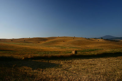 Scenic view of field against clear sky