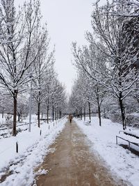 Snow covered road amidst trees against sky