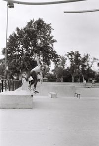 People jumping by trees against sky