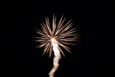 Low angle view of firework display at night