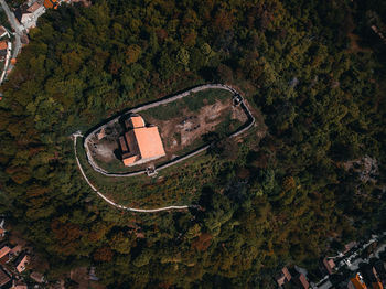 High angle view of road amidst trees