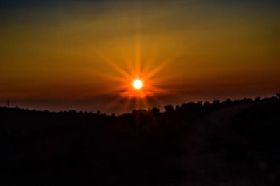 Silhouette of trees at sunset