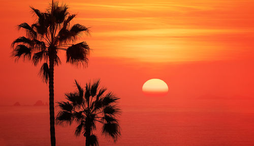 Silhouette palm tree by sea against romantic sky at sunset