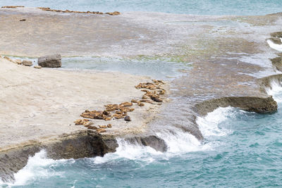 Scenic view of sea shore