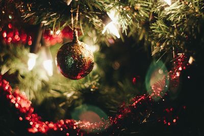 Close-up of decorated christmas tree