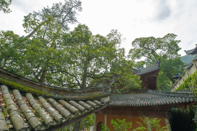 Low angle view of trees and building against sky