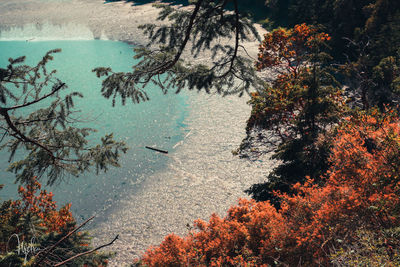 Reflection of trees on lake during autumn