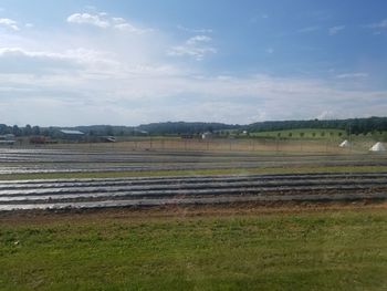 Scenic view of field against sky