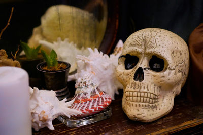 Close-up of food on table