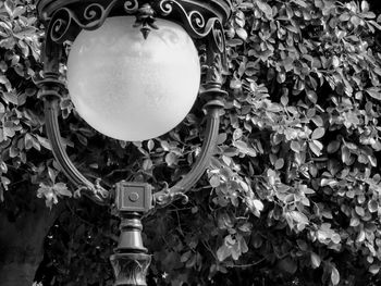 Low angle view of lighting equipment hanging on tree