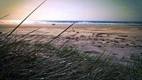 Scenic view of beach against sky during sunset
