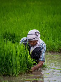 Rear view of person with umbrella on field