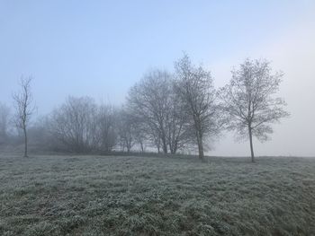 Bare trees on field against sky