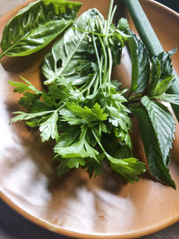 High angle view of vegetables in bowl on table