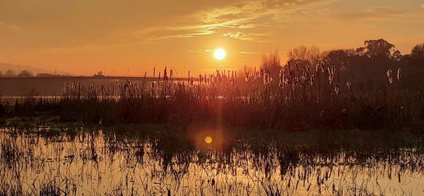 Scenic view of lake against sky during sunset