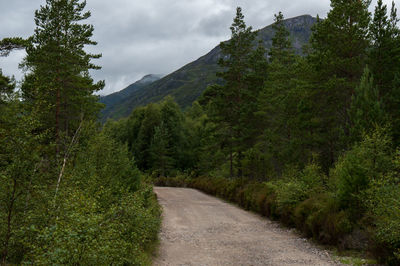 Dirt road amidst trees against sky