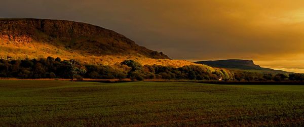 Scenic view of grassy field against sky
