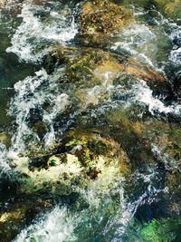 High angle view of water flowing through rocks