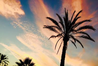 Low angle view of palm tree against sunset sky