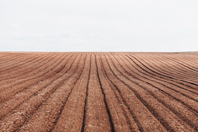 Scenic view of farm against sky