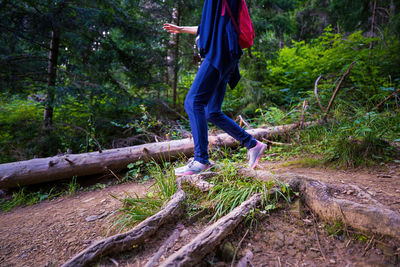 Low section of person walking on road in forest