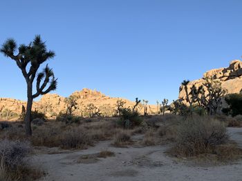 Scenic view of desert against clear blue sky