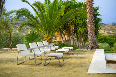 Chairs and palm trees against sky