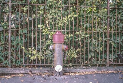 Fire hydrant against wall