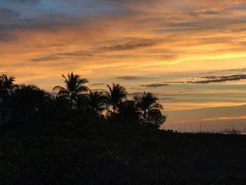 Silhouette palm trees against sky during sunset