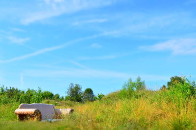 Abandoned barn on field against blue sky