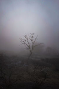 Silhouette bare tree on landscape against sky