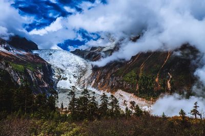 Low angle view of trees against sky