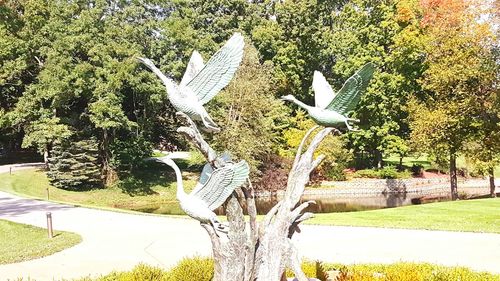 Bird on tree against sky