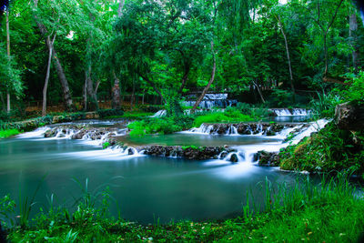 Scenic view of waterfall in forest