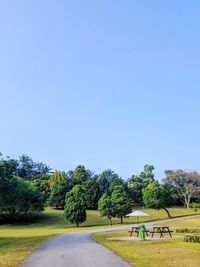 Scenic view of road amidst trees against clear sky