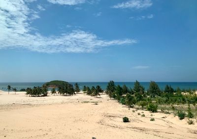 Scenic view of beach against sky