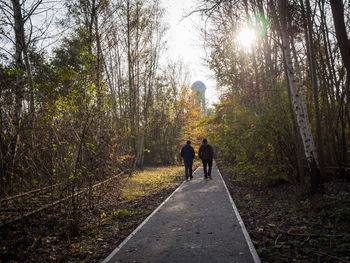 Rear view of men walking in forest