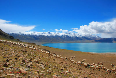 Scenic view of sea and mountains against blue sky