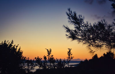 Silhouette trees against sky during sunset