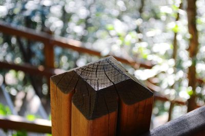 Low angle view of wooden post on tree