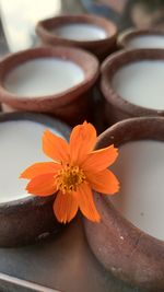 Close-up of orange flower on table