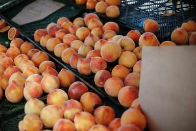 High angle view of fruits for sale at market stall