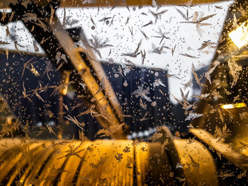 Close-up of snow on water