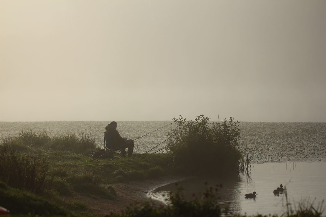 morning, sky, water, nature, mist, plant, horizon, beauty in nature, grass, land, adult, one person, men, tranquility, beach, fog, dawn, copy space, leisure activity, lake, silhouette, scenics - nature, environment, landscape, lifestyles, outdoors, tranquil scene, tree, activity, day, animal, shore, animal themes, sitting, mammal, non-urban scene, reflection