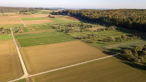 Scenic view of agricultural field