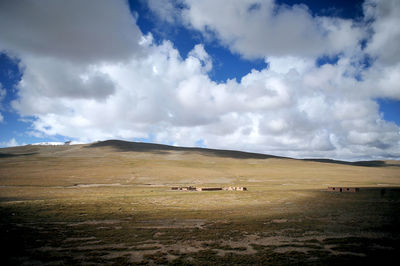 Cows grazing on field against sky