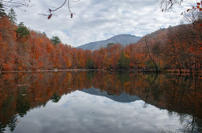 Reflection of trees in lake against sky during autumn