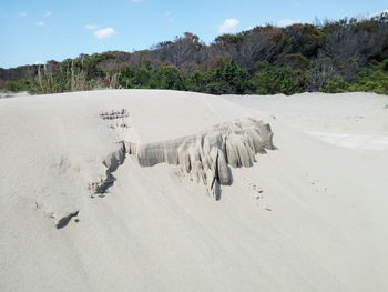 Panoramic view of land and trees against sky