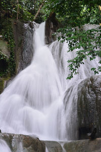 Scenic view of waterfall in forest