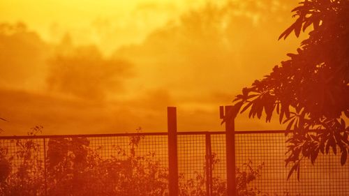 Fence by trees against orange sky